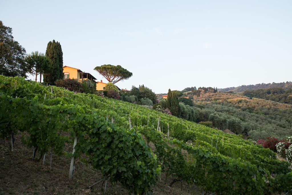 Casa Vacanze Casa Italia Lamporecchio Dış mekan fotoğraf
