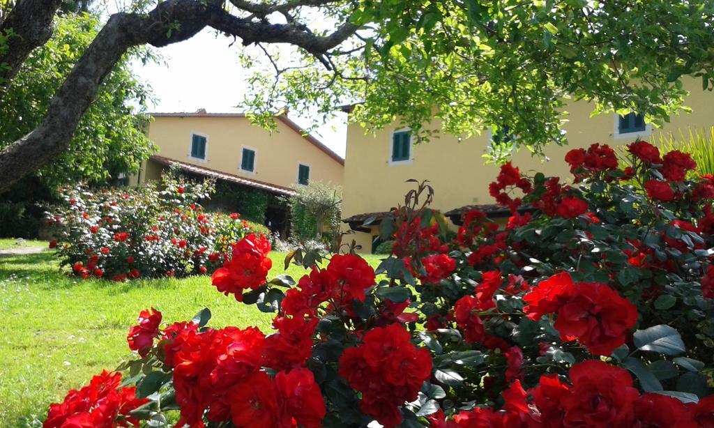 Casa Vacanze Casa Italia Lamporecchio Dış mekan fotoğraf