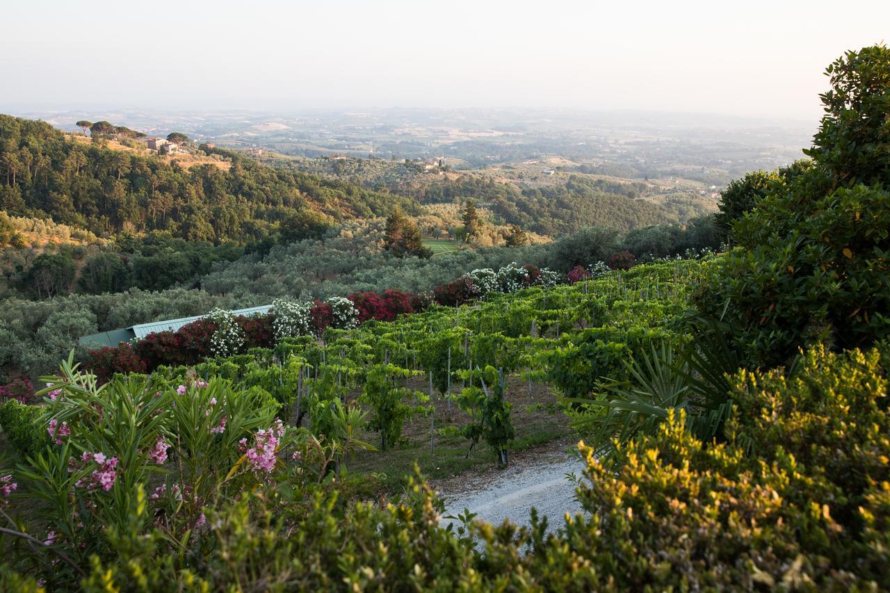 Casa Vacanze Casa Italia Lamporecchio Dış mekan fotoğraf